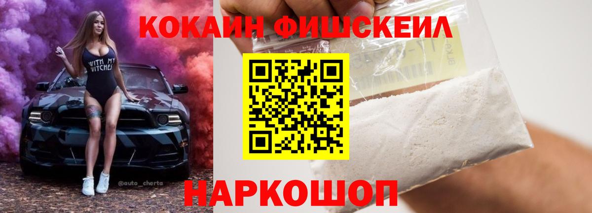 COCAIN Fish Scale  Вход с VPN  Елабуга 