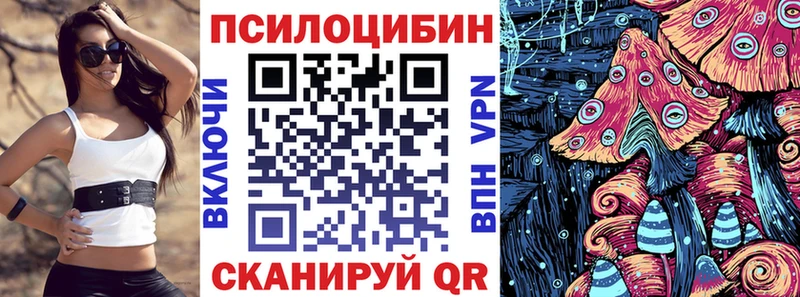 Галлюциногенные грибы Psilocybe  KRAKEN ССЫЛКА  Елабуга  где купить наркотик 